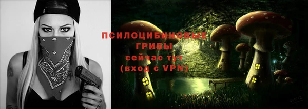 стаф Абаза