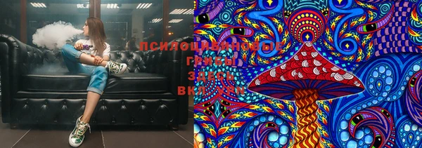 сатива Алексеевка