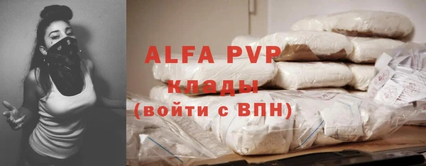стаф Абаза