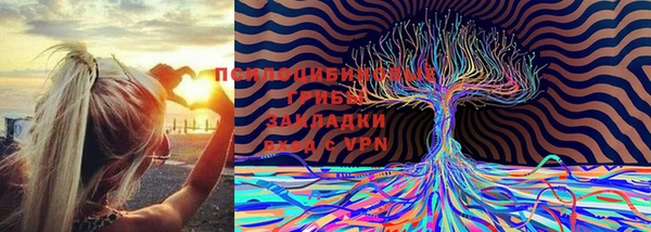 синтетический гашиш Алексин