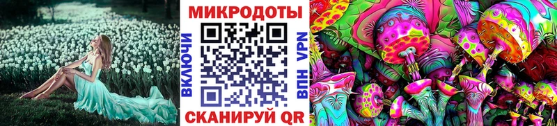 Псилоцибиновые грибы мицелий  Новотитаровская 